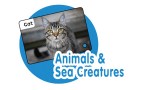 Rozprávajúce karty - Animals & Sea